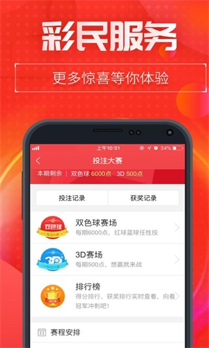 王中王493333中特1肖,探索王中王493333中特1肖的魅力与奥秘