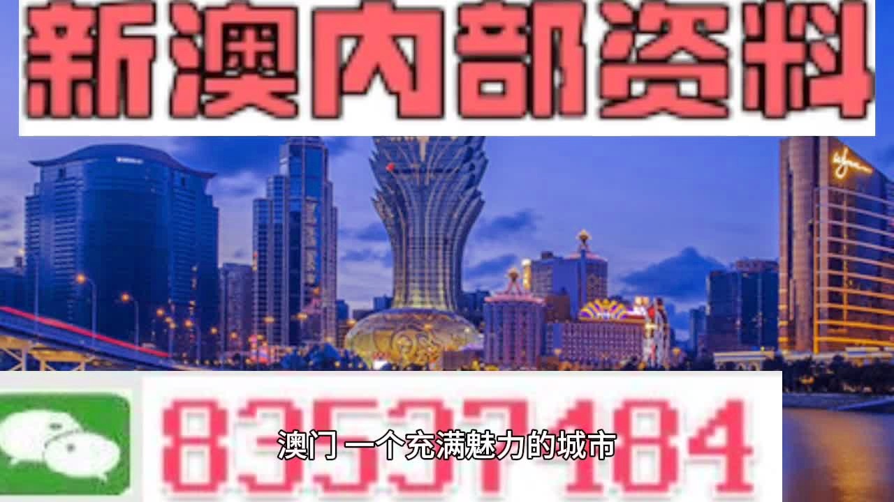 新澳门今晚精准一肖,新澳门今晚精准一肖预测——探索命运的神秘领域