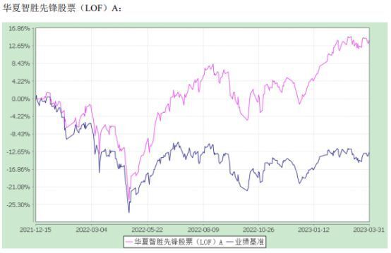 2023年澳门特马今晚开码,探索澳门特马，2023年今晚的开码之旅