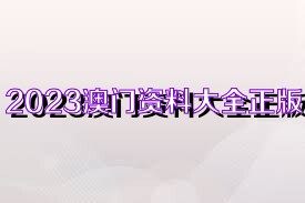 2023澳门正版全年免费资料,澳门正版全年免费资料，探索与体验