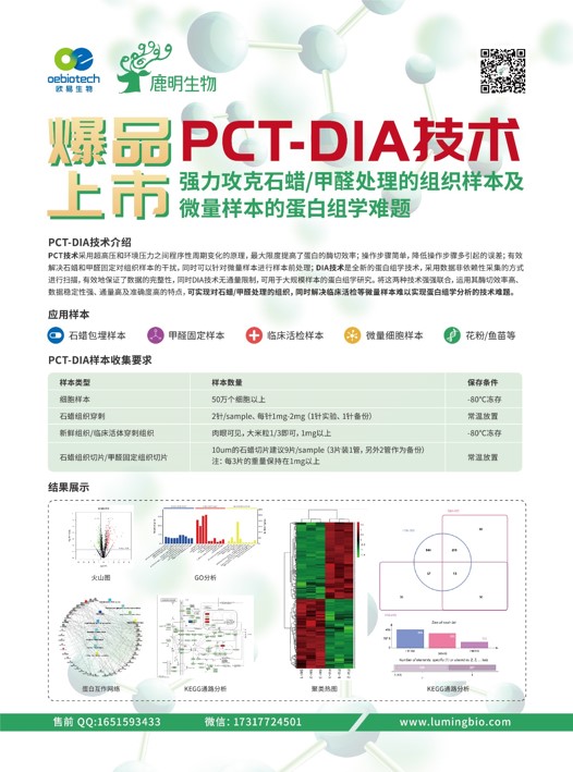 新奥精准资料免费提供510期,新奥精准资料免费提供510期，深度解析与前景展望